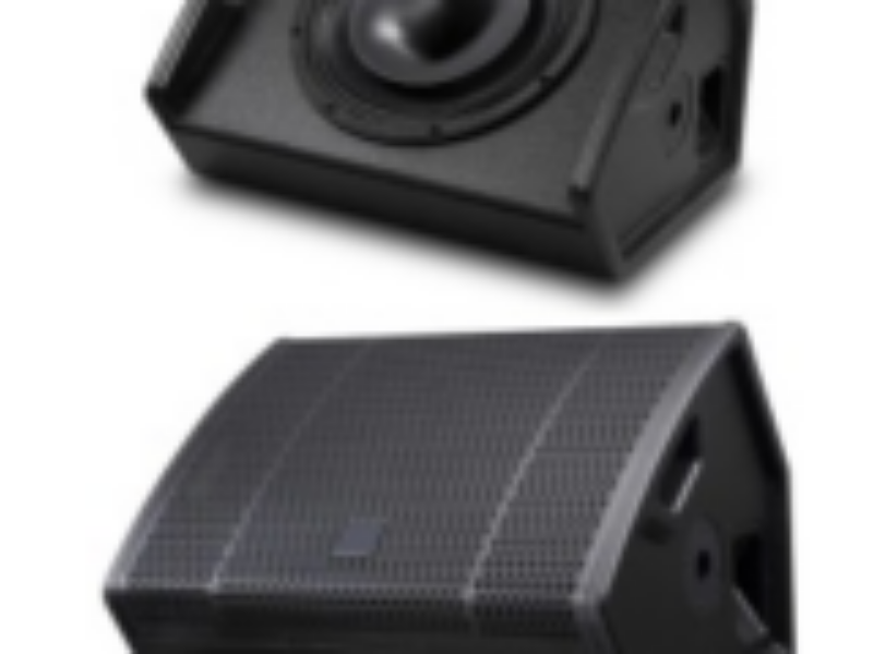 FM 12 Full range monitor