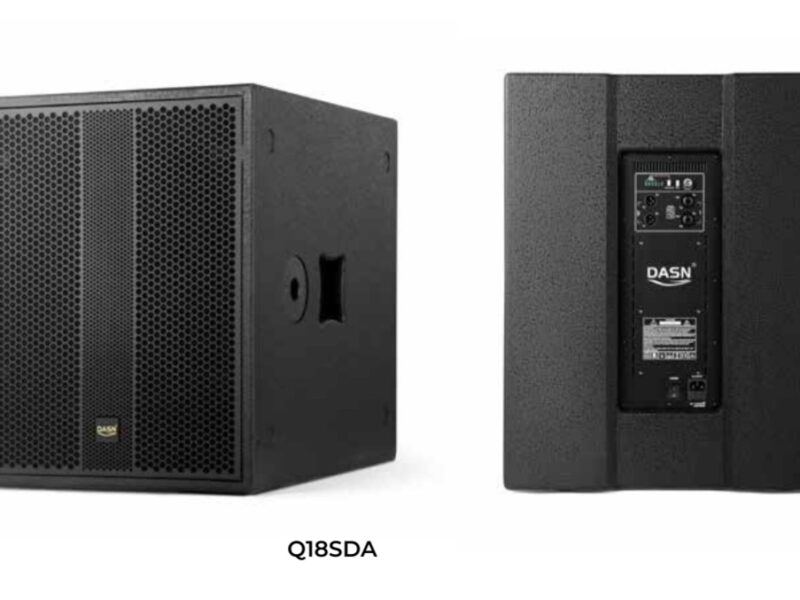 Dasn H18S subwoofer