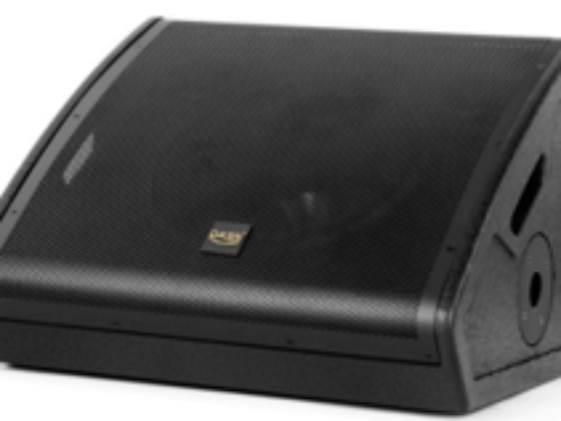 Dasn MS15 stage monitor